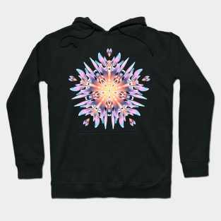 Good Fortune Hoodie